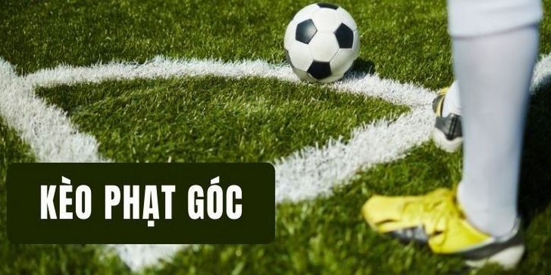 Kèo phạt góc con số chuẩn xác có tỷ lệ trả thưởng cực cao